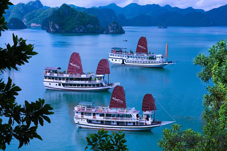 Swan Cruise - Vietnam Cruise & Travel Experiences | BusTicketVN - Slide 1