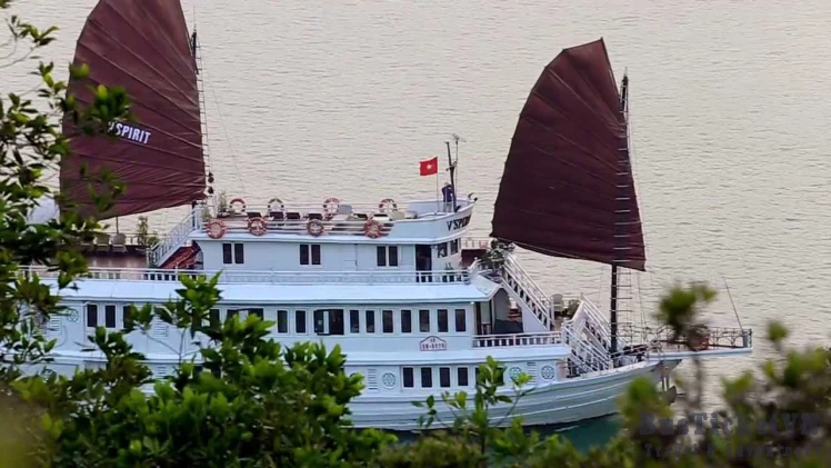 V'sprit Cruise - Vietnam Cruise & Travel Experiences | BusTicketVN - Slide 1