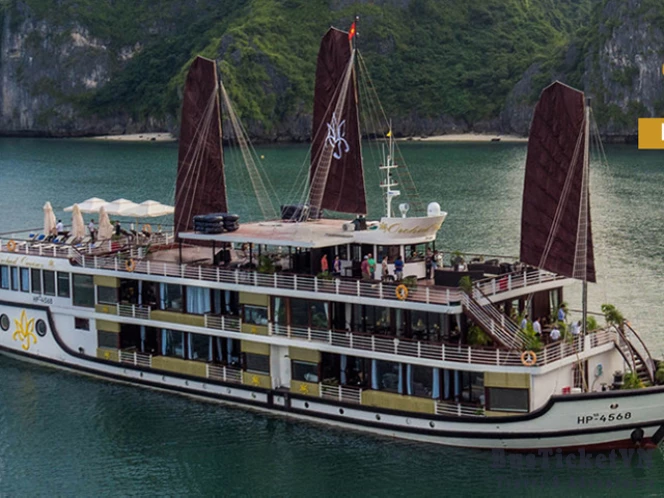 Orchid Cruise - Vietnam Cruise & Travel Experiences | BusTicketVN - Slide 1