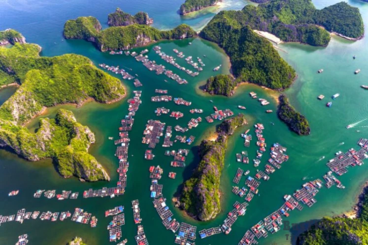 Lan Ha Bay - Halong Bay 1 Day Tour - Slide 1