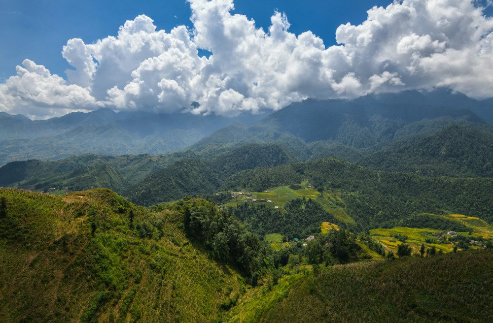 Sapa in Summer